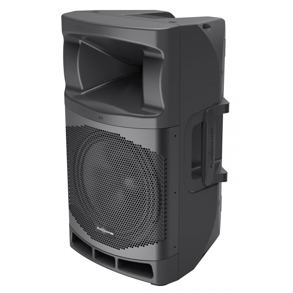 Audiocenter MA12 активная акустическая система в Камышлове