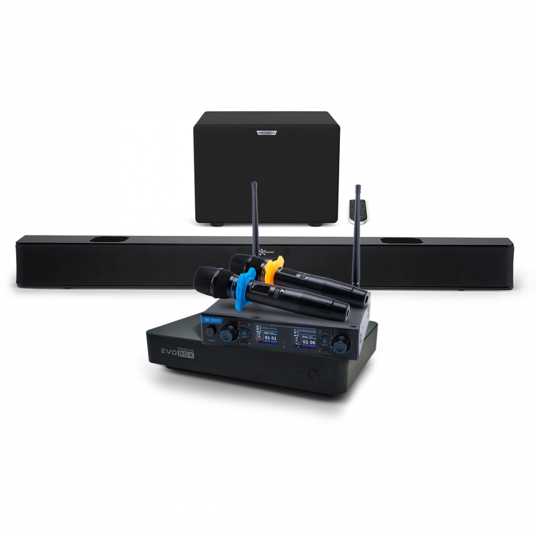 Hi-End караоке-система EVOBOX Premium + EvoSoundBar (саундбар с караоке) в Камышлове