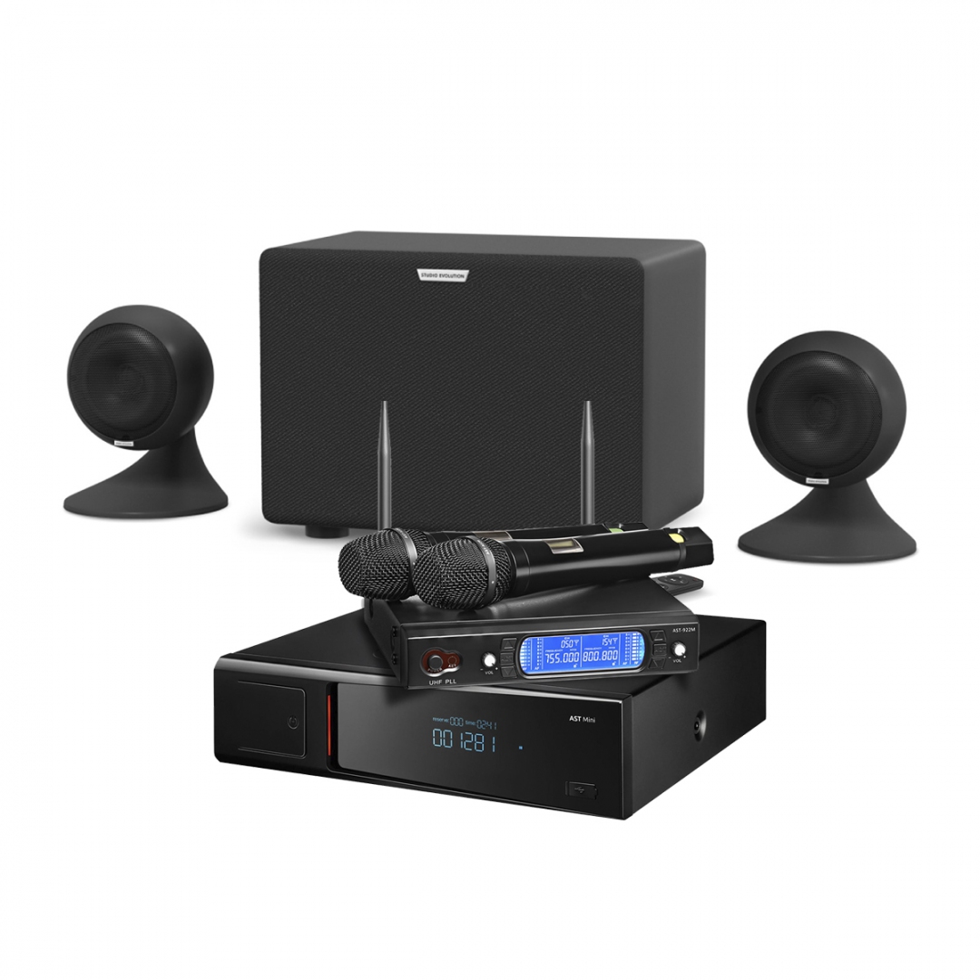 караоке-комплект AST Mini Sound Sphere в Камышлове