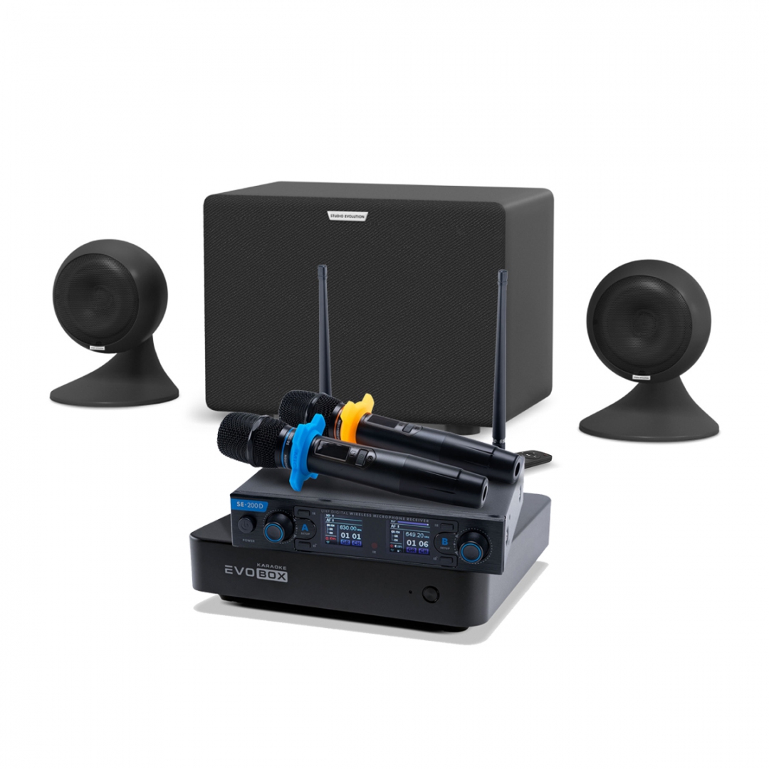 караоке-комплект EVOBOX + EvoSound Sphere 2.1 в Камышлове