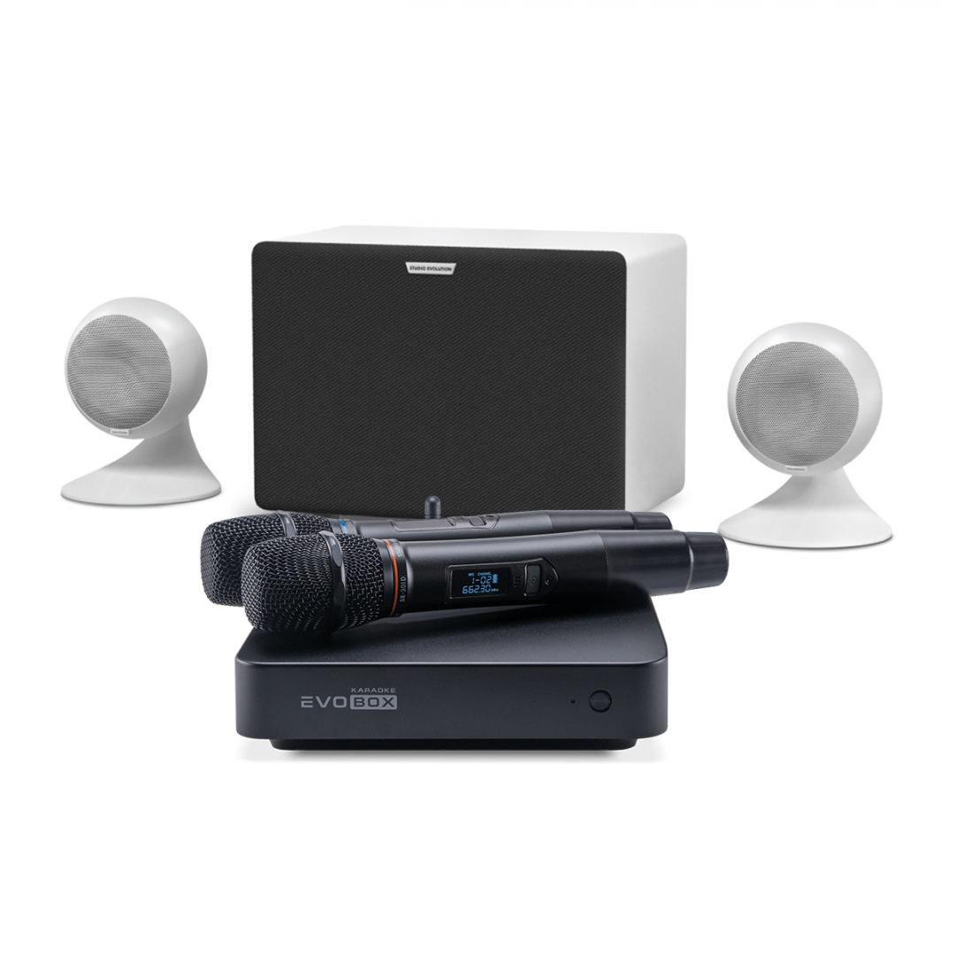 караоке-комплект EVOBOX Classic + EvoSound Sphere 2.1 в Камышлове