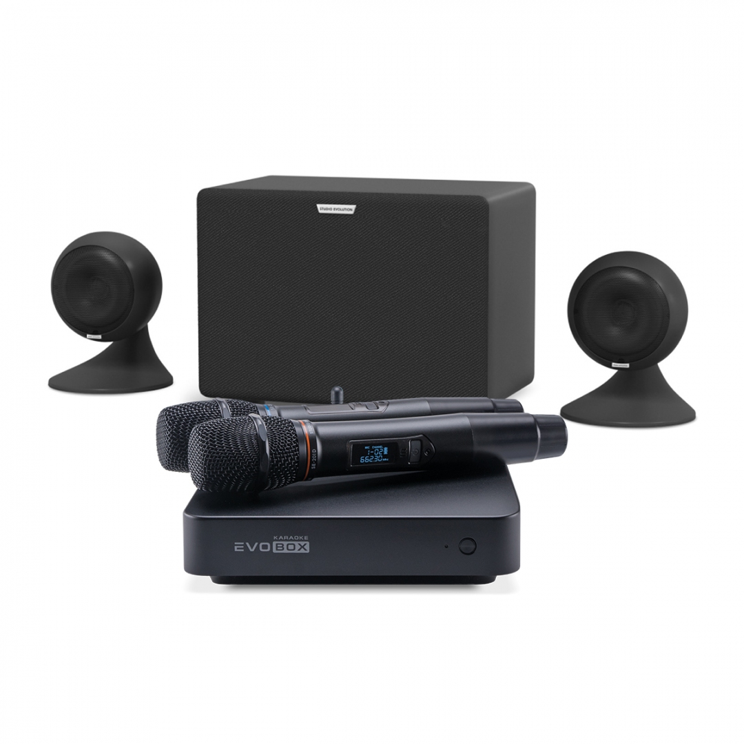 караоке-комплект EVOBOX Plus + EvoSound Sphere 2.1 в Камышлове