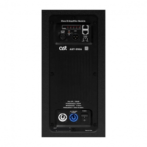 Активная акустическая система AST-310A в Камышлове