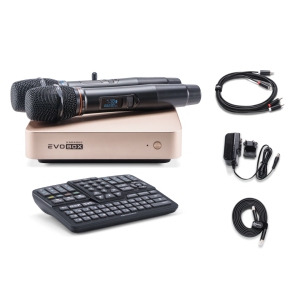 EVOBOX Classic караоке-система для дома в Камышлове