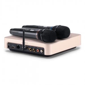 EVOBOX Plus караоке-система для дома в Камышлове