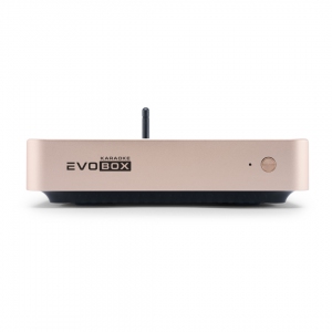 EVOBOX Plus караоке-система для дома в Камышлове