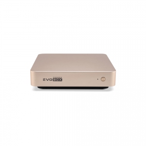 EVOBOX с микрофонами в Камышлове