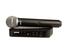 SHURE BLX24E/PG58 M17 вокальная радиосистема в Камышлове
